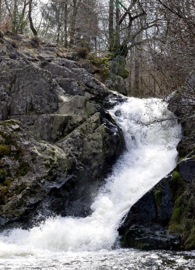 Roulotte Maisonthiers Blanot  Kültér fotó
